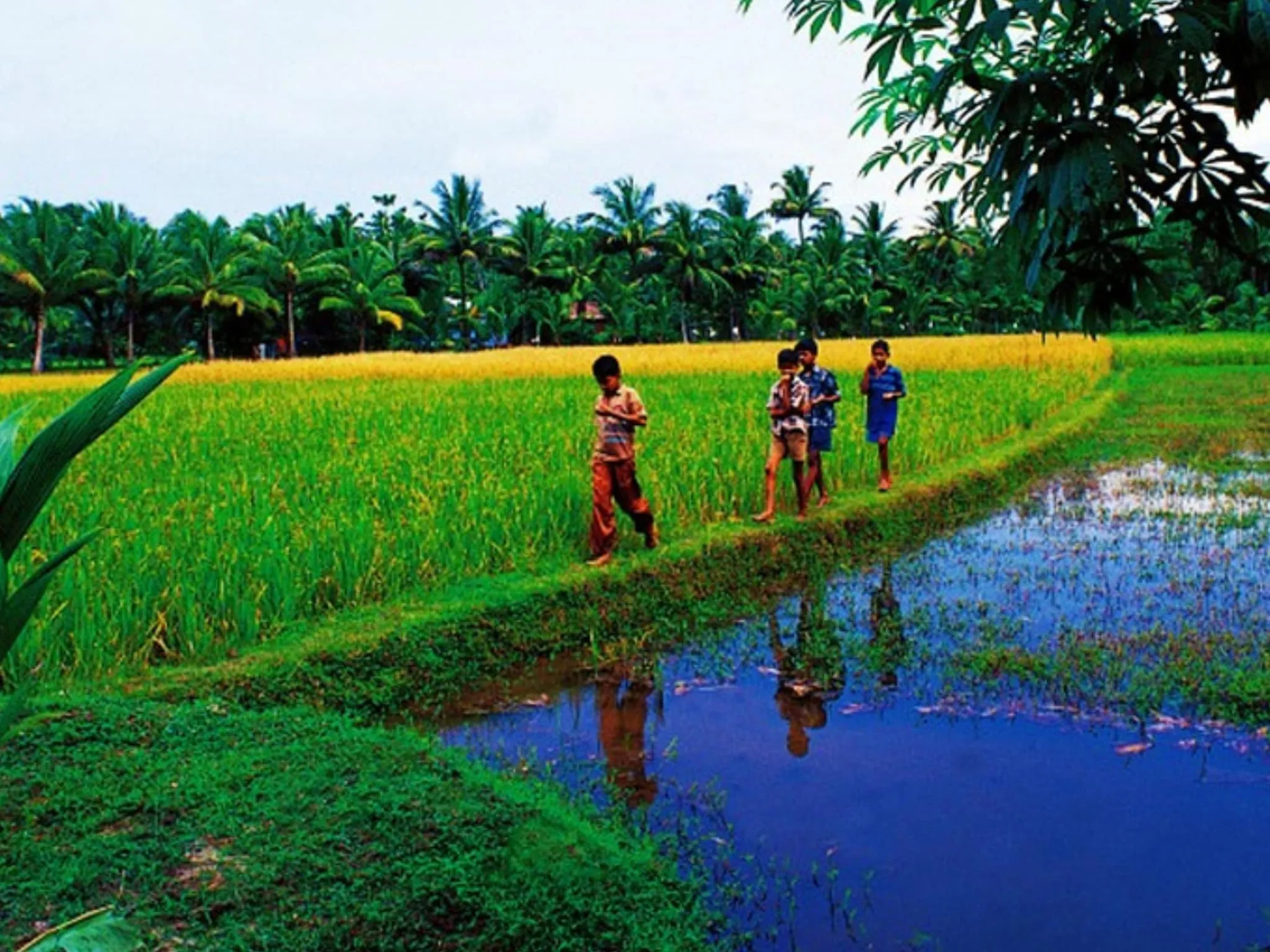 गरीबी-मुक्त भारत का सपना, केरल ने दिखाया रास्ता